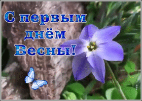Картинка интересная открытка с первым днем весны