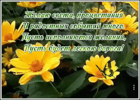 Картинка интересная открытка с пожеланиями