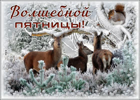 Открытка интересная открытка с пятницей