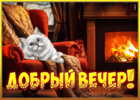 Postcard интригующая гиф-открытка, пусть вечер будет полон приятных моментов