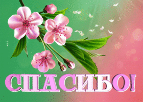 Picture искренняя гиф-открытка, спасибо тебе
