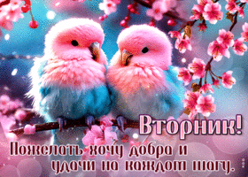 Postcard искренняя гиф-открытка желает добра и удачи в этот вторник