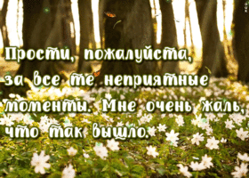 Картинка искренняя открытка прости