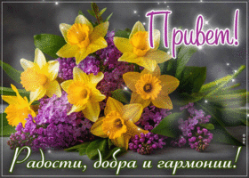 Picture искристая гиф-открытка, привет, радости и добра тебе