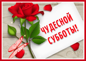 Picture изумительная открытка чудесной субботы с розой и бабочкой