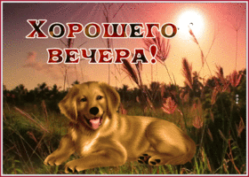 Открытка изумительная открытка добрый вечер