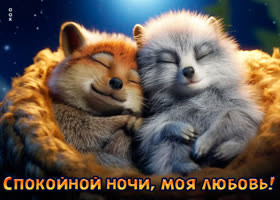 Postcard изумительная открытка спокойной ночи, моя любовь!