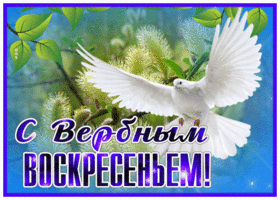 Картинка изящная открытка с вербным воскресеньем