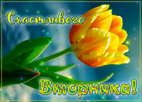 Postcard изящная гиф-открытка, счастливого вторника