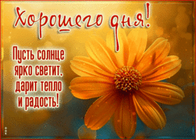 Postcard изысканная гиф-открытка, пусть ярко светит солнце, хорошего дня