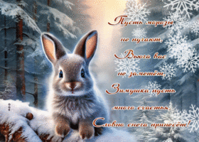 Picture изысканная гиф-открытка, пусть зимушка будет славной