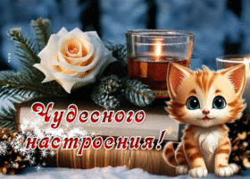 Picture изысканная гиф-открытка с котиком, чудесного настроения