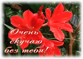 Postcard изысканная гиф-открытка, сильно скучаю