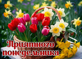 Postcard каллиграфическая гиф-открытка, приятного понедельника