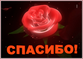 Открытка картинка большое спасибо