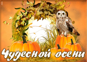 Картинка картинка чудесной осени