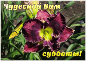 Картинка картинка чудесной субботы