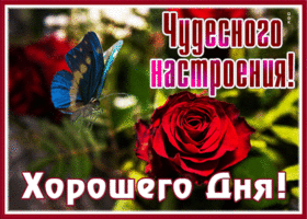 Picture картинка чудесного настроения и хорошего дня