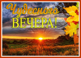 Postcard картинка чудесного вечера с осенними листьями