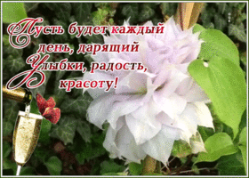 Картинка картинка для особенного человека