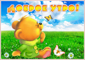 Картинка картинка доброе утро прекрасного дня