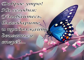 Postcard картинка доброе утро, продолжайте двигаться вперед