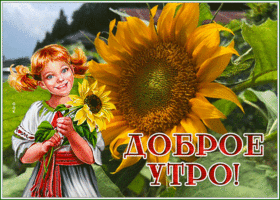 Postcard картинка доброе утро с чудесным подсолнухом
