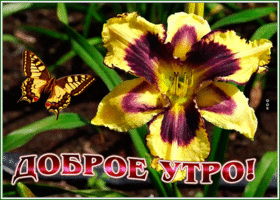 Postcard картинка доброе утро с интересным цветком