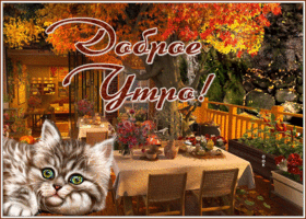 Postcard картинка доброе утро с котиком и осенью