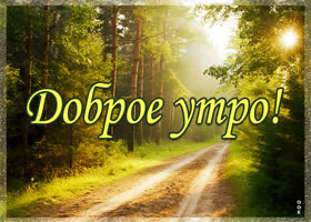 Picture картинка доброе утро с лесной тропинкой