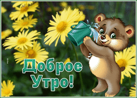 Postcard картинка доброе утро с милым мишкой и цветами