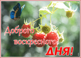 Открытка картинка доброго воскресенья