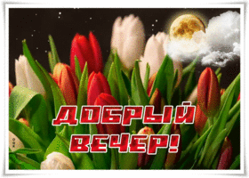 Picture картинка добрый вечер с чудесным букетом тюльпанов
