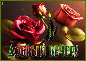 Picture картинка добрый вечер с изумительными розами