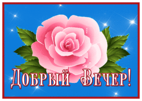 Picture картинка добрый вечер с прекрасной розой