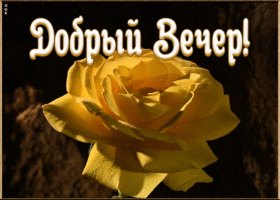 Картинка картинка добрый вечер приятного отдыха