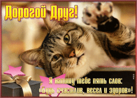 Postcard картинка другу, будь счастлив, весел и здоров