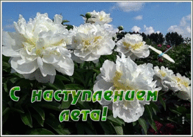 Картинка картинка гиф с наступлением лета