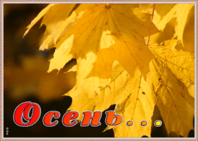 Картинка картинка гиф с осенью