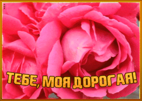Картинка картинка гиф с розами
