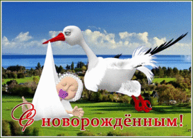 Открытка картинка гиф с рождением малыша
