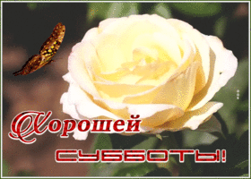 Картинка картинка гиф с субботой