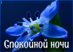 Открытка картинка гиф спокойной ночи
