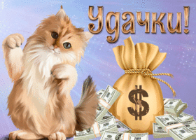 Картинка картинка гиф удачи