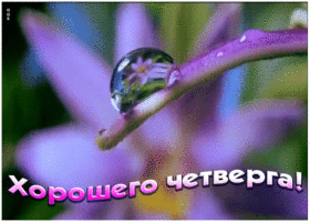 Открытка картинка хорошего четверга