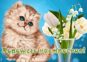 Картинка картинка хорошего настроения и удачного дня