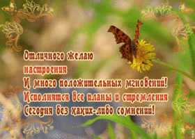 Картинка картинка хорошего настроения с пожеланиями
