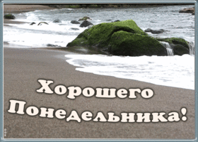 Картинка картинка хорошего понедельника