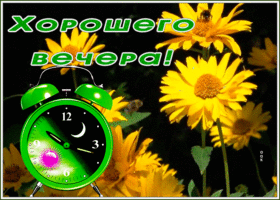 Картинка картинка хорошего вечера с очаровательными цветами