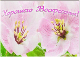 Картинка картинка хорошего воскресенья